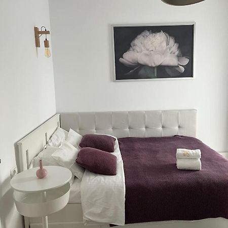 Alma Apartments Suceava Extérieur photo