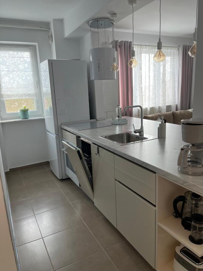Alma Apartments Suceava Extérieur photo