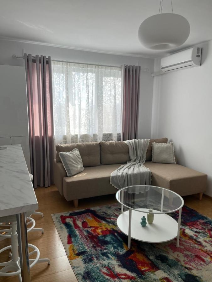 Alma Apartments Suceava Extérieur photo