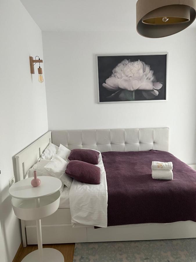 Alma Apartments Suceava Extérieur photo
