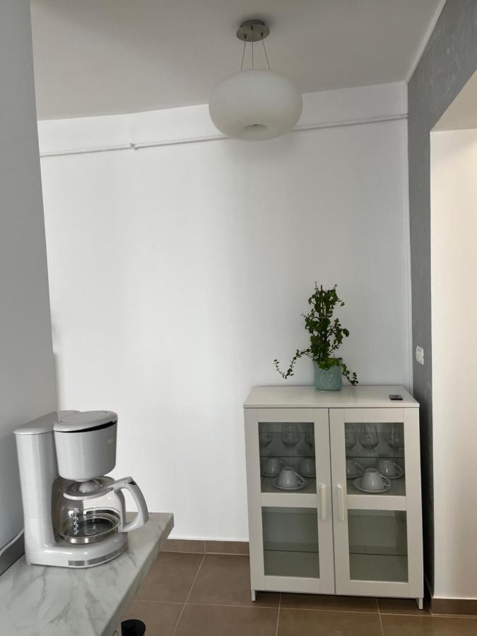Alma Apartments Suceava Extérieur photo